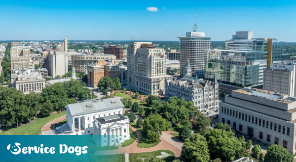 Emotional Support Animal Virginia