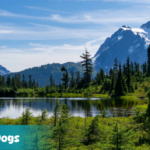 Washington State ESA Letter: Washington State ESA Laws