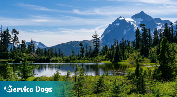 Emotional Support Animal Washington State