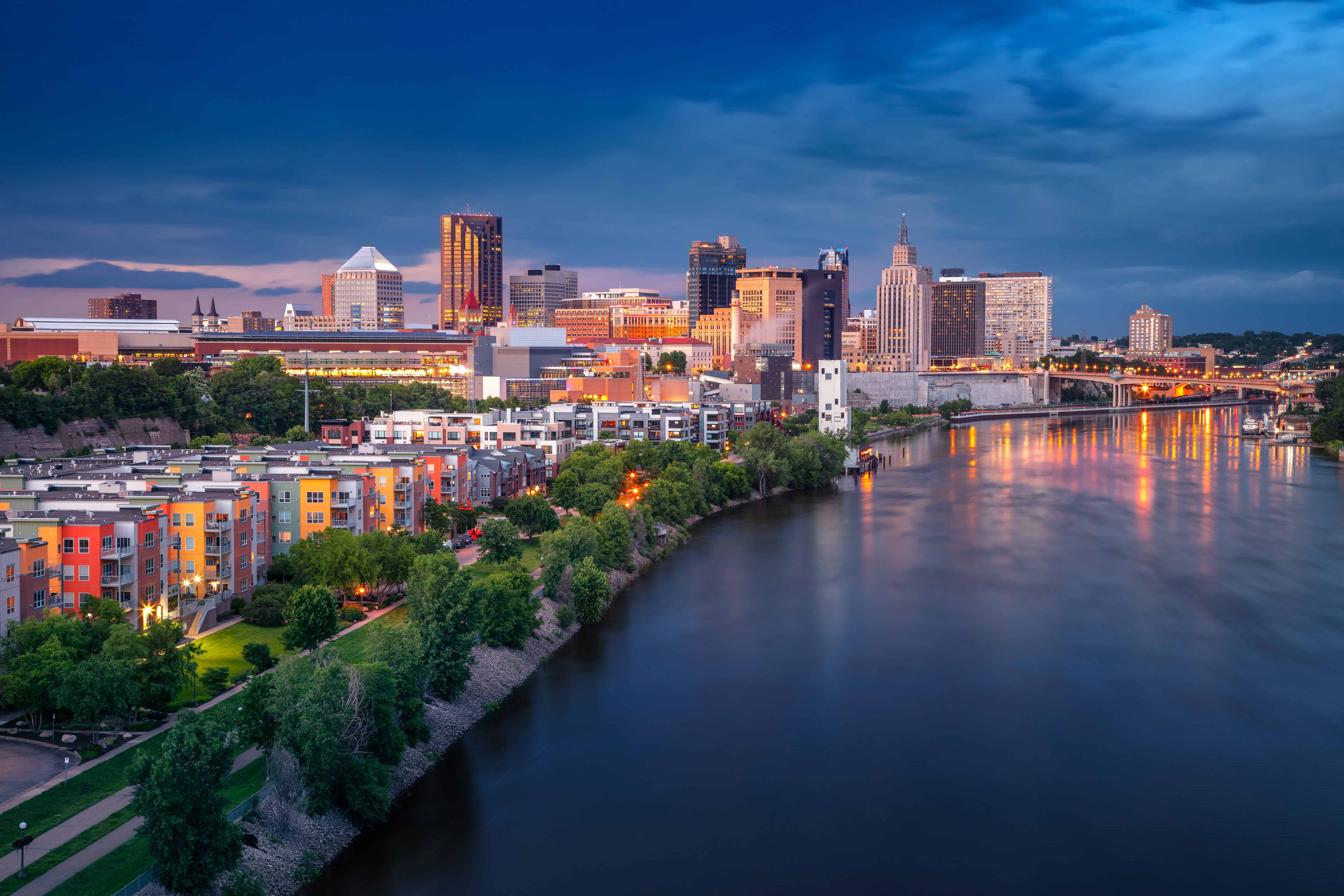 Psychiatric Service Dog Minnesota