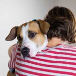 What Are Service Dogs for Depression