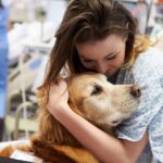 What Is the Alliance of Therapy Dogs?