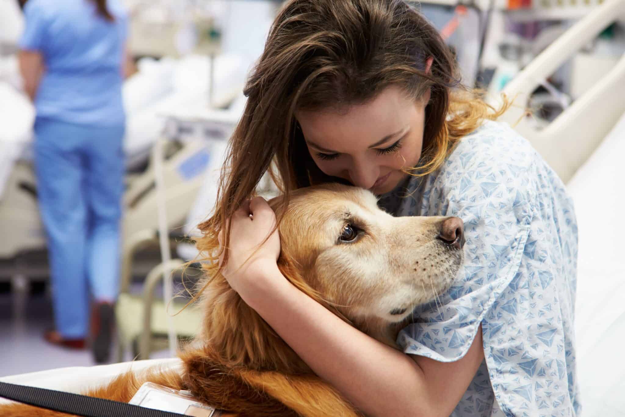 Therapy Dogs Alliance
